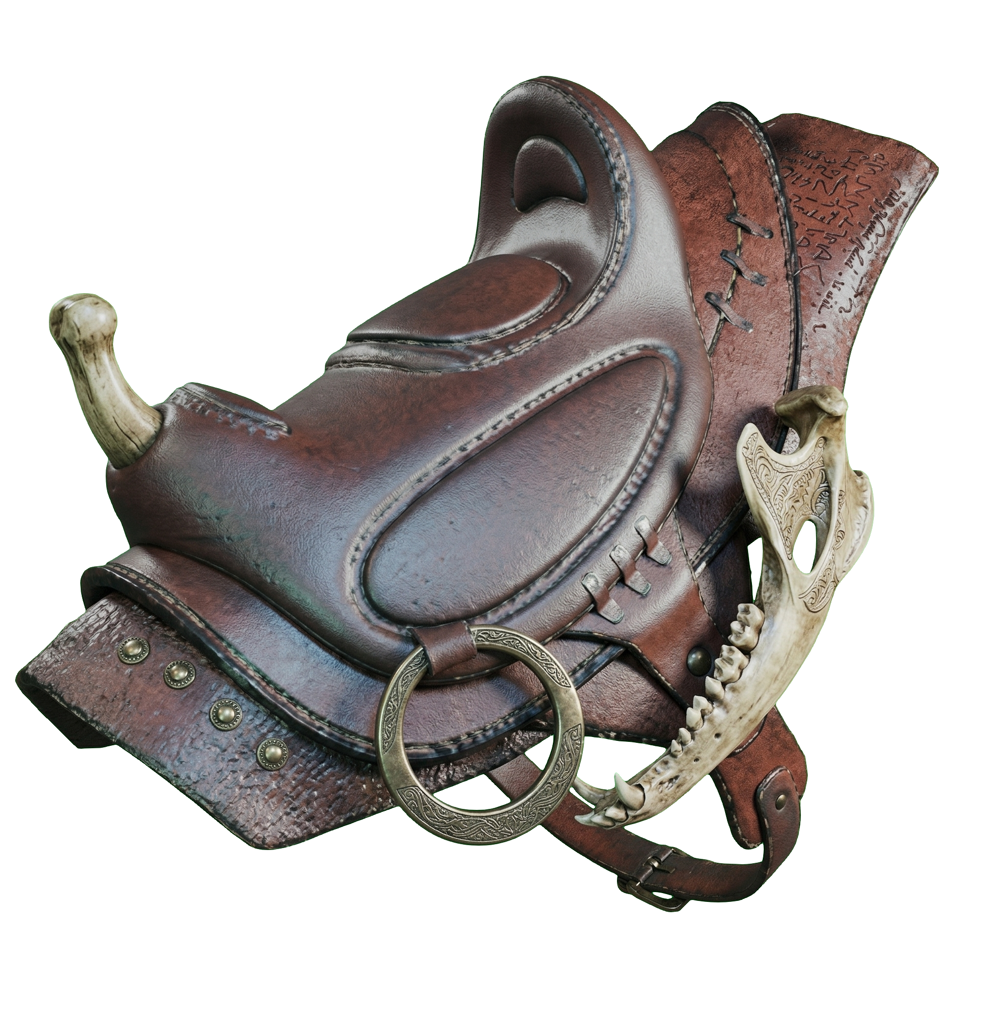 BP Selle de Notosaurus