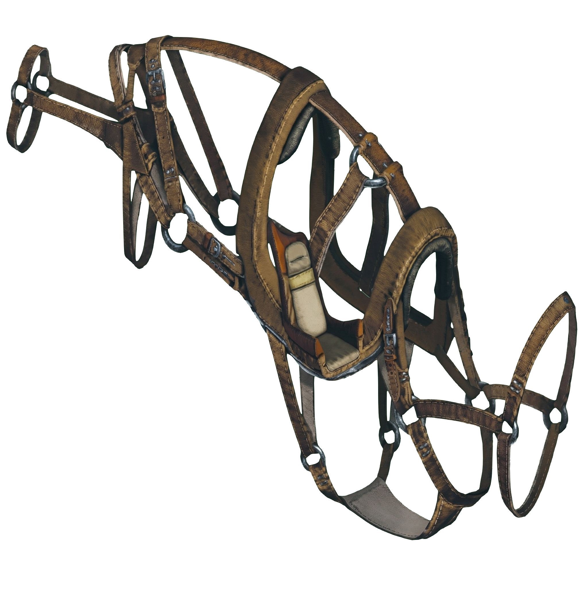 BP Selle de Acrocanthosaurus