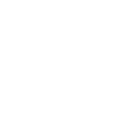 Basilosaurus