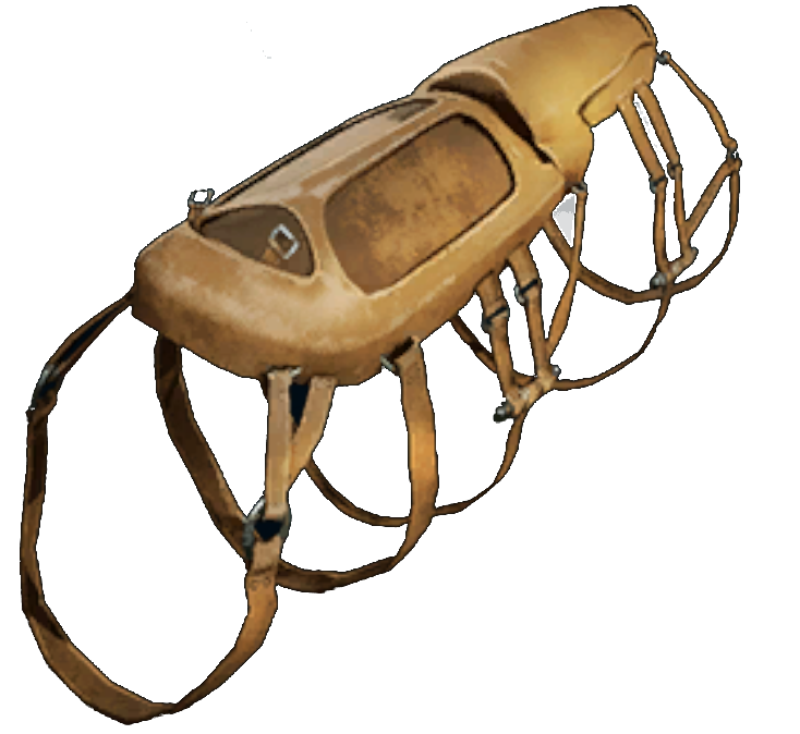BP Selle de Xiphactinus