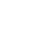 Thylacoleo