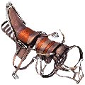 BP Selle de Rhyniognatha