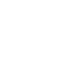 Dire Bear