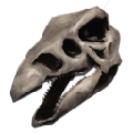 Stego Skeletal