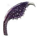 Tusoteuthis Tentacle