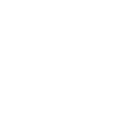 Diplocaulus