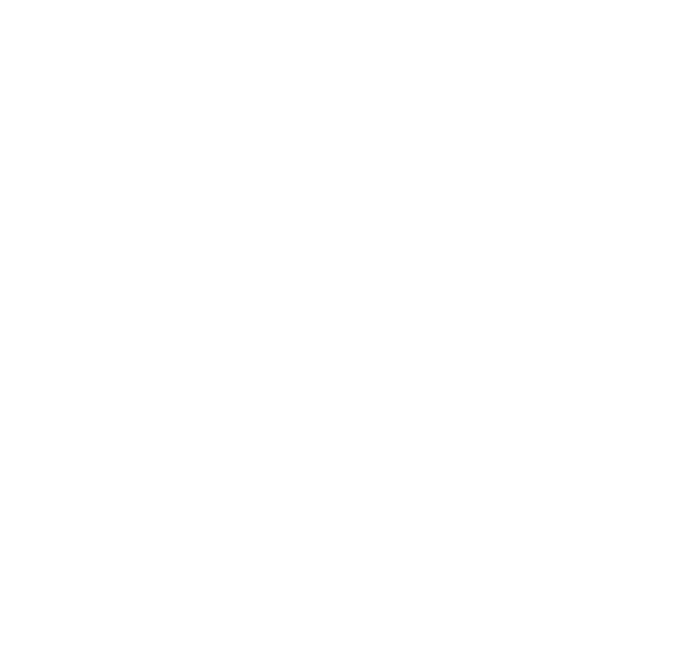 Dreadnoughtus