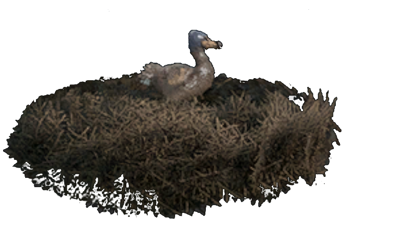 Hatchery