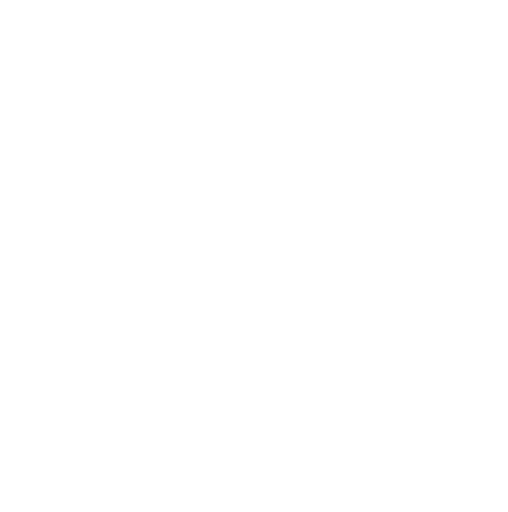 Fasolasuchus