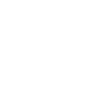Otter