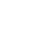 Wooly Rhino