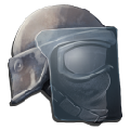 Riot Helmet