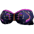SummerSwimShirt Eels