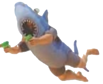 SharkSuit
