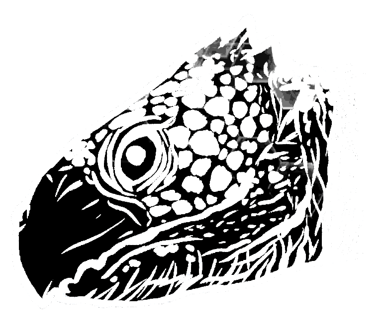 Archelon