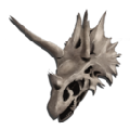 Trike Skeletal