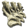 Sauropod Vertebra