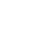 Plesiosaur