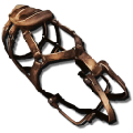 BP Selle de Tusoteuthis