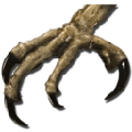 Argentavis Talon