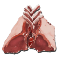 Raw Mutton x500