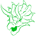 S-Triceratops