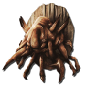 Alpha Deathworm Trophy