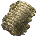 Sarcosuchus Skin