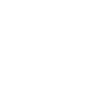 Allosaurus