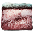 Basilosaurus Blubber
