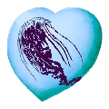 Cnidaria - Chibi