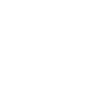 Shinehorn