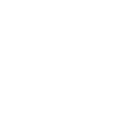 Gallimimus
