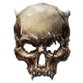 ScarySkull
