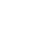 Electrophorus