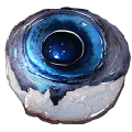 Alpha Tusoteuthis Eye