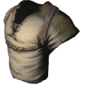 Cloth Shirt