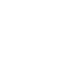 Megalodon