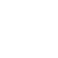 Microraptor