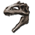 Gigant Skeletal