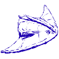 Diplocaulus - Aberrant