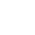 Wyvern Fire