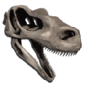 Raptor Skeletal