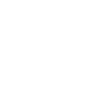 Procoptodon