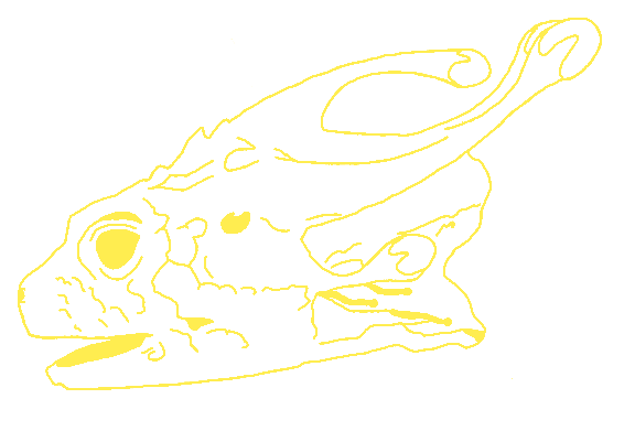 Glowveil Dragon