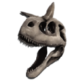 Carno Skeletal