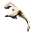 Alpha Basilisk Fang