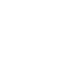 Pelagornis