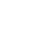 Hesperornis