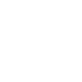 Araneo